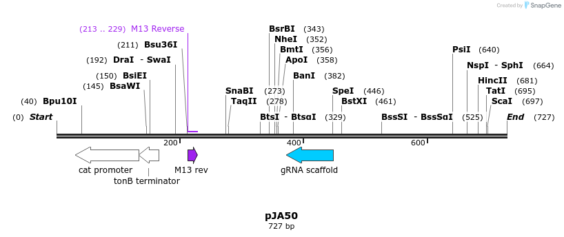 96949_map