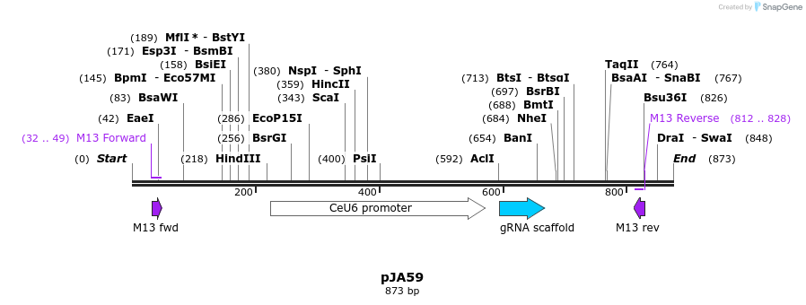 96950_map