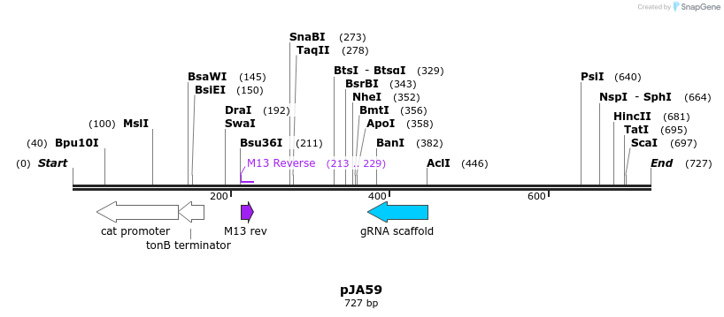96951_map