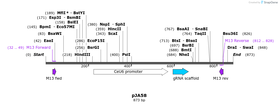 96952_map