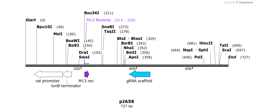 96953_map