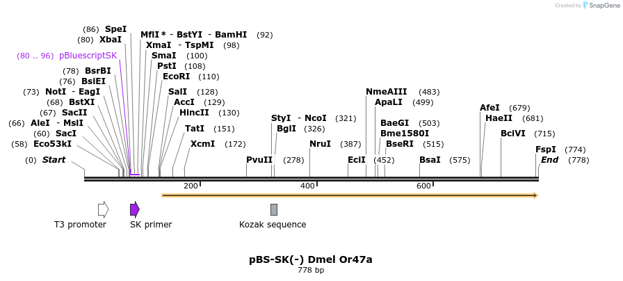 96954_map