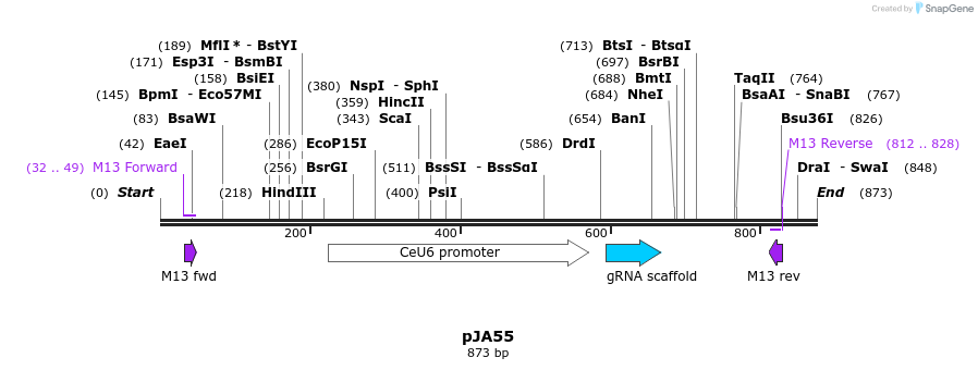 96955_map