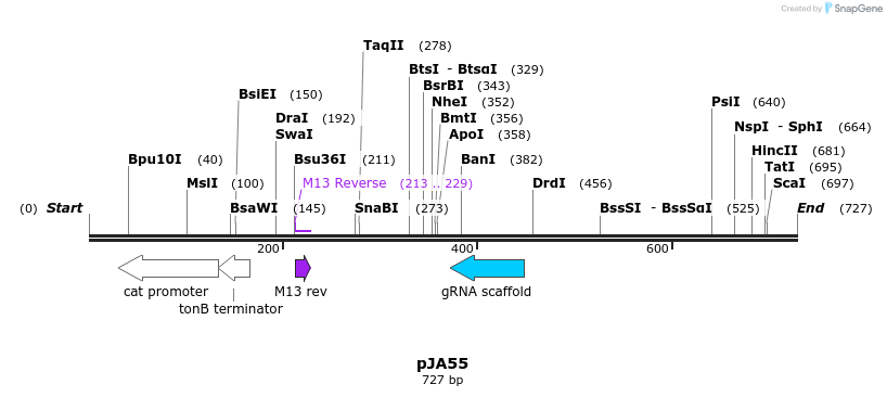 96956_map