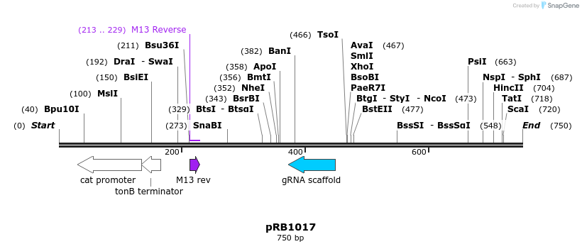 96958_map