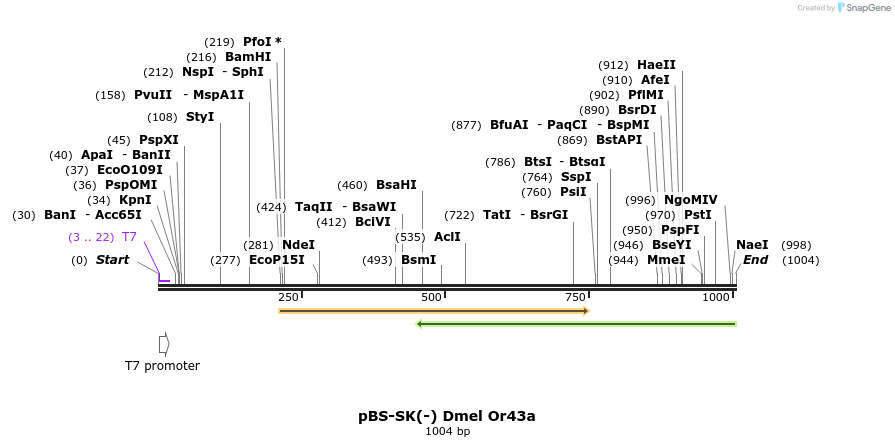 96960_map