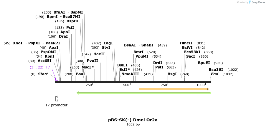 96963_map