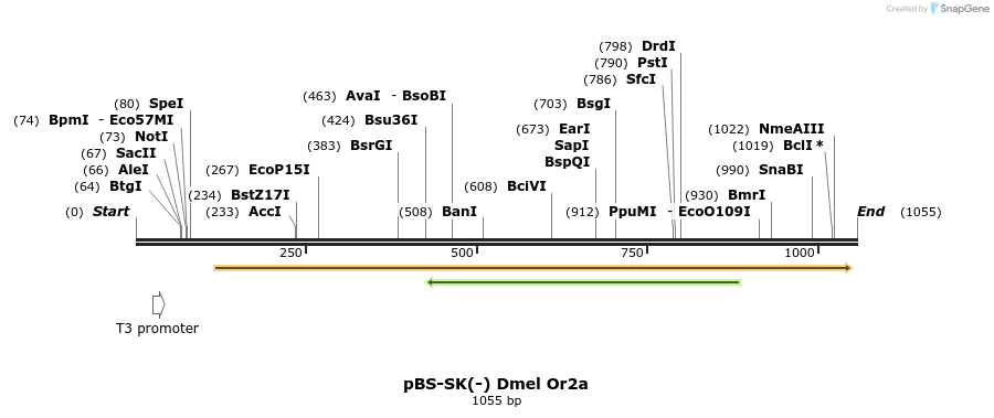 96964_map