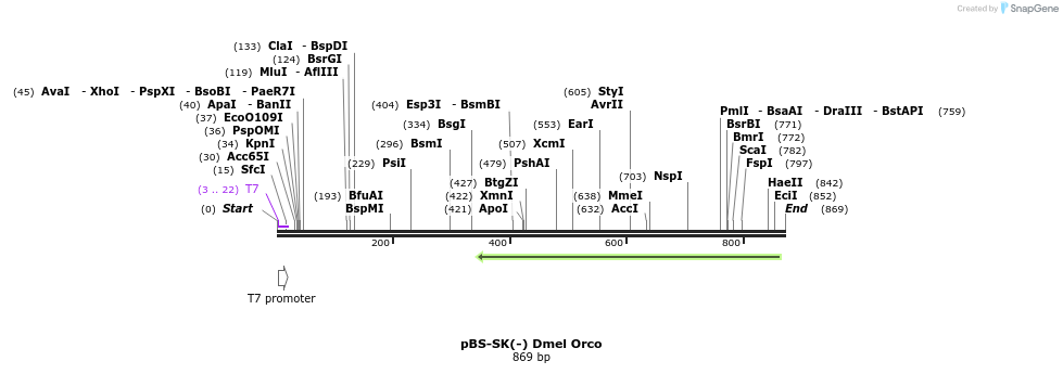 96965_map