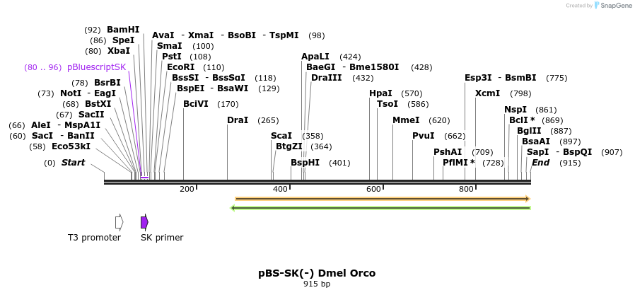 96966_map
