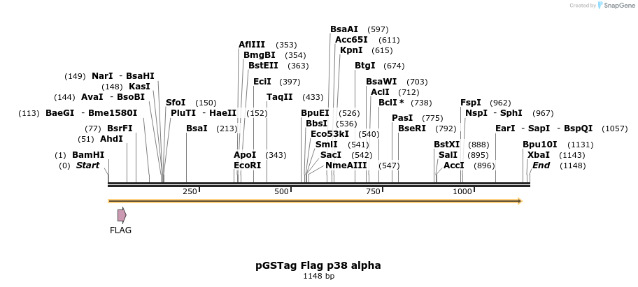 9697_map
