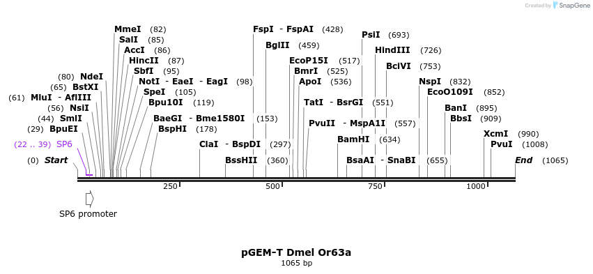96970_map