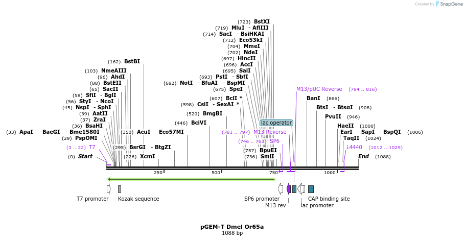 96971_map