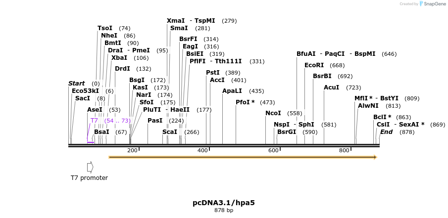 96979_map