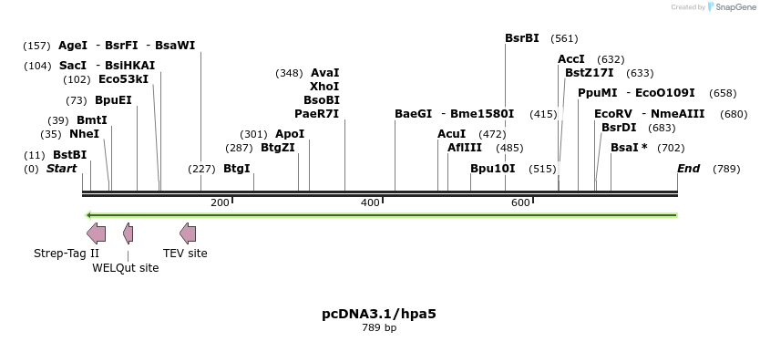 96980_map
