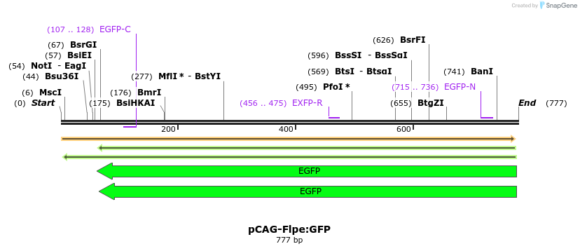 96981_map