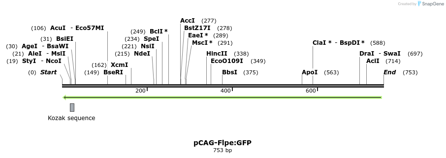 96982_map