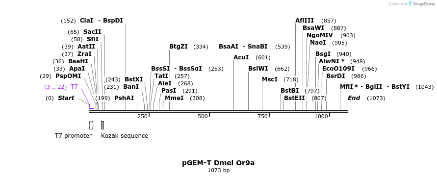 96986_map