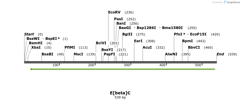 96987_map