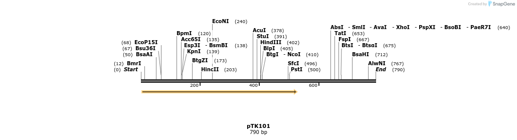 96988_map