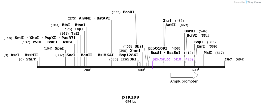 96989_map