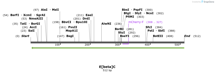 96990_map