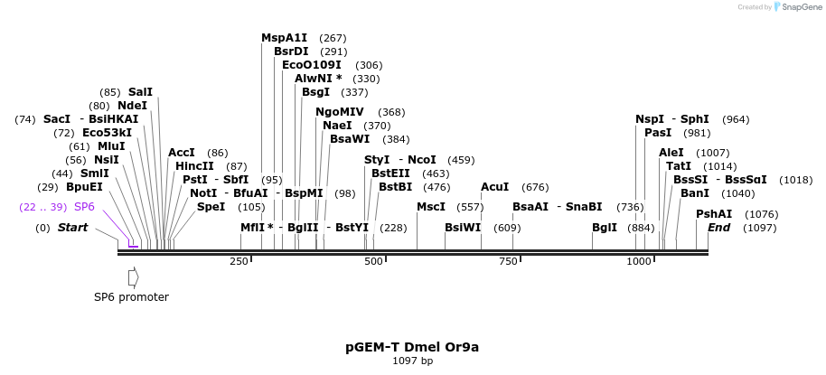 96991_map