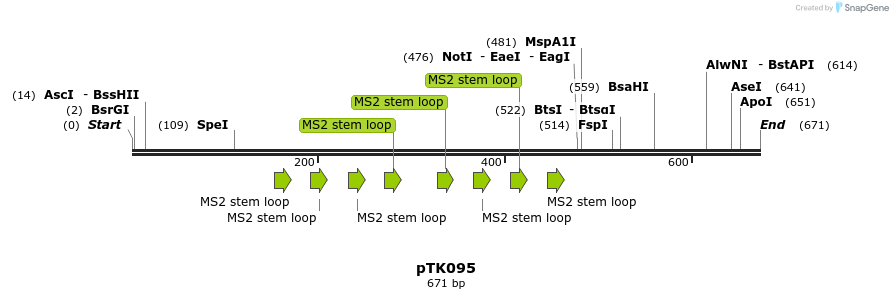 96992_map