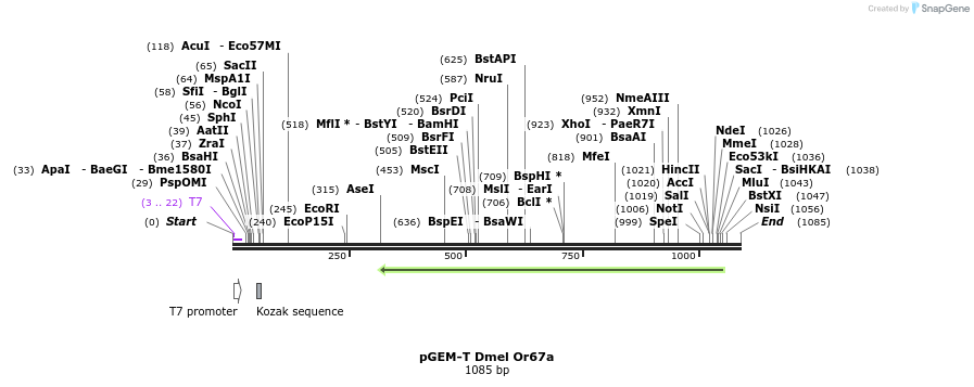 96993_map