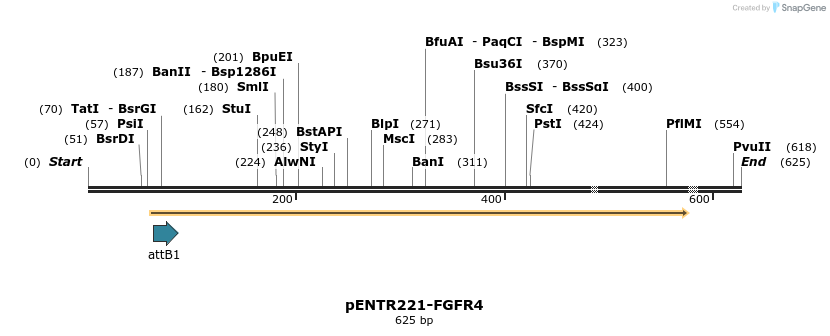 96994_map