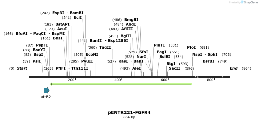 96995_map