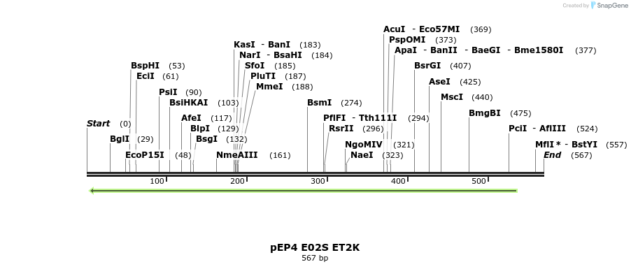 96996_map