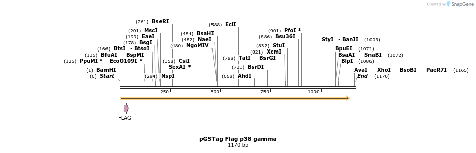 9700_map
