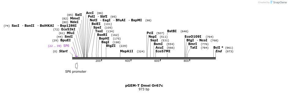 97002_map