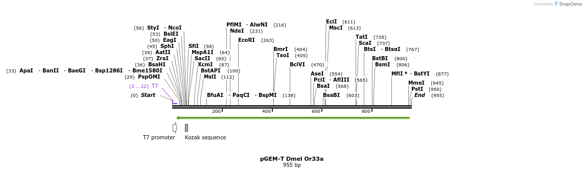 97003_map