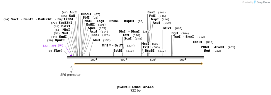 97004_map