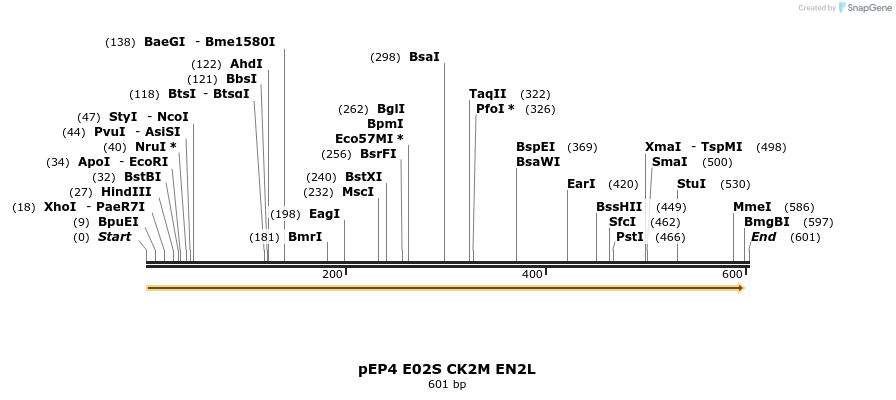 97006_map