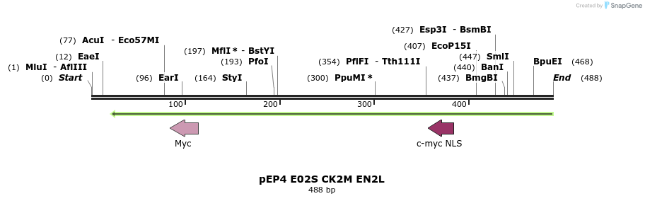 97007_map