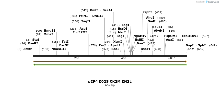 97009_map