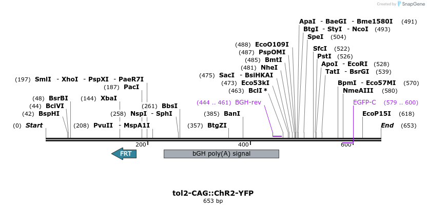 97016_map