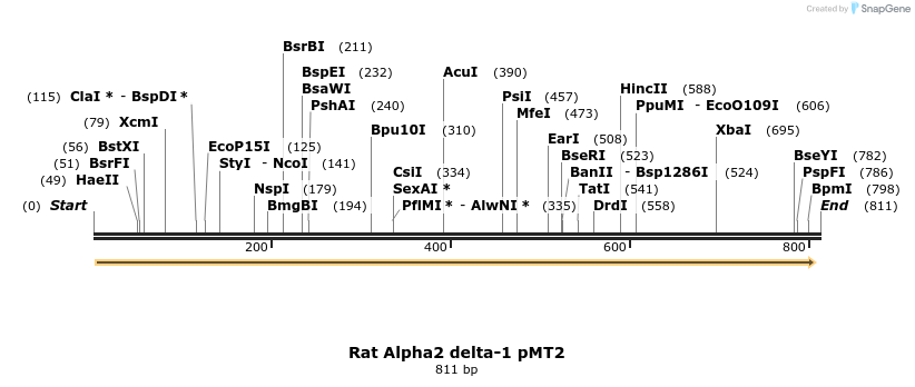 97017_map