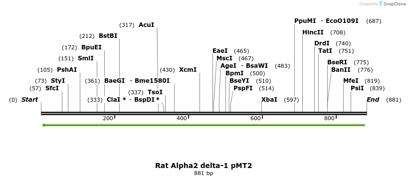 97018_map