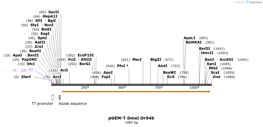 97019_map