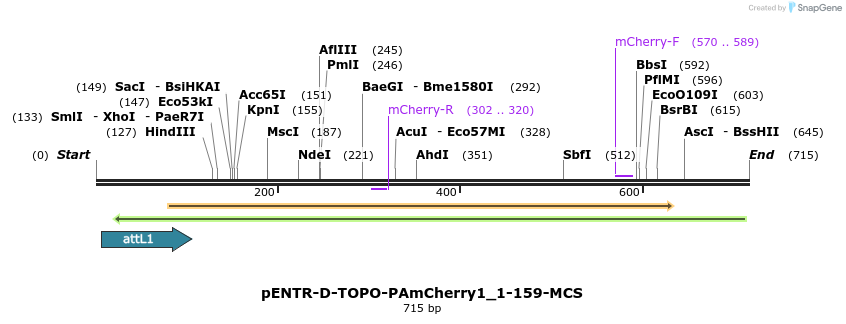 97021_map