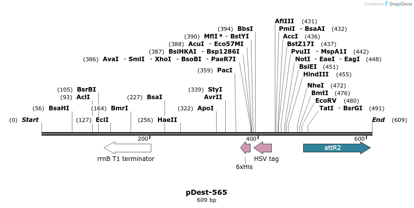97022_map