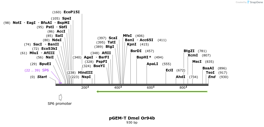 97023_map