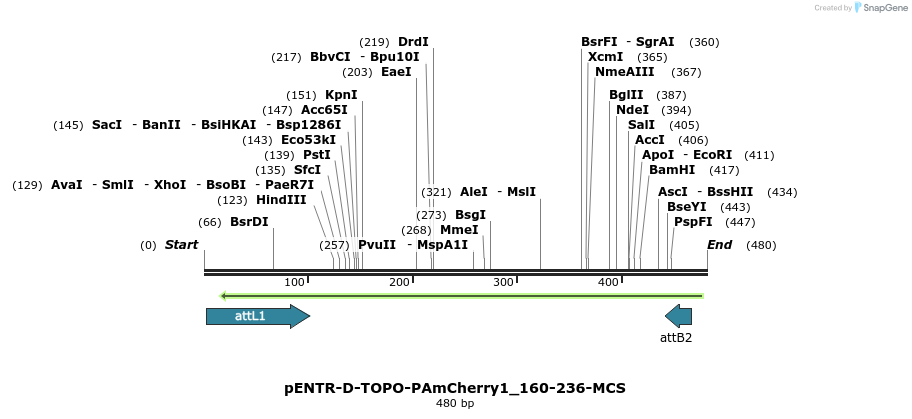 97026_map