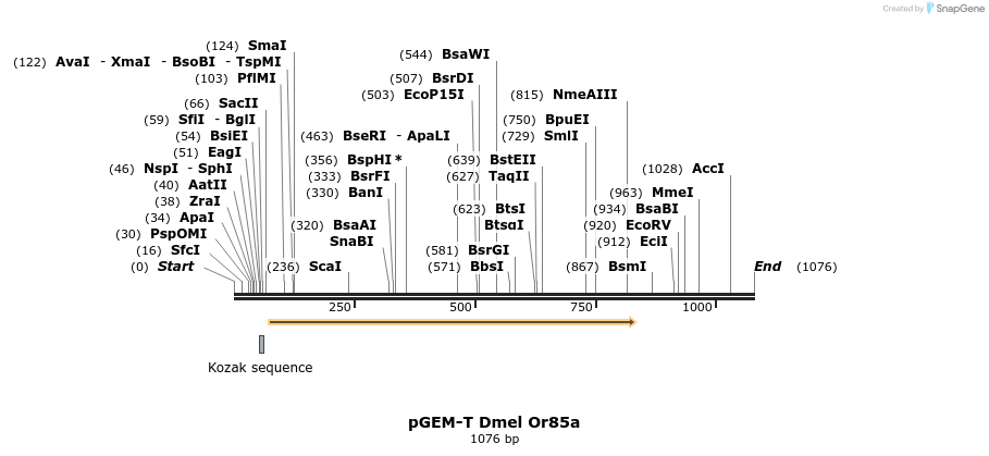 97028_map