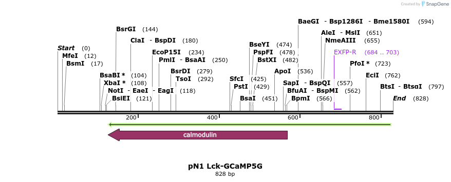 97029_map