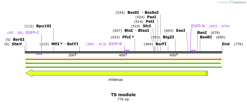 97030_map
